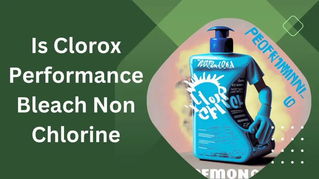 Clorox Performance Bleach Non-Chlorine